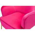 Marina Modern Velvet Accent Chair with Golden Legs Set of 2 by HULALA HOME
