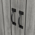 Jody Farmhouse Adjustable 4-Shelf Double-Door Shoe Cabinet with Lift-top Storage by