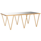 SAFAVIEH Armida Antique Gold Leaf Coffee Table - 48 x 18.3 x 27 - 48Wx18Dx27H