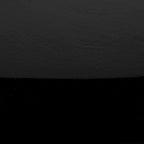 Poly and Bark Molina Coffee Table in Black